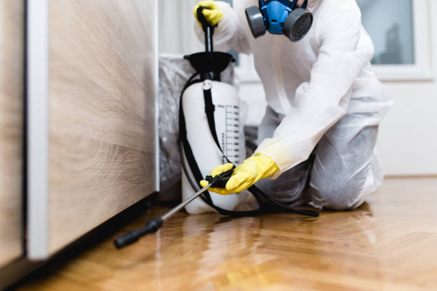 Best Commercial Pest Control Services  in Victoria, TX