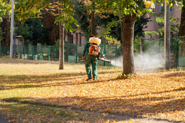 Best Local Pest Control Services  in Victoria, TX