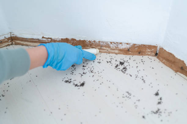 Best Pest Removal Services  in Victoria, TX